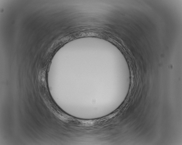 X0000087620701200704271137