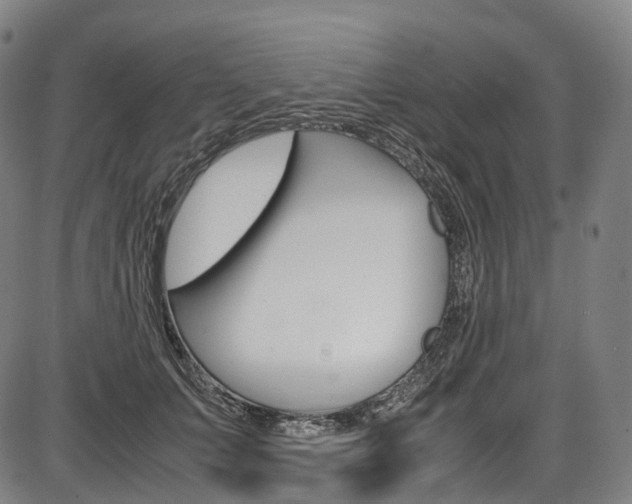X0000087620703200704271137
