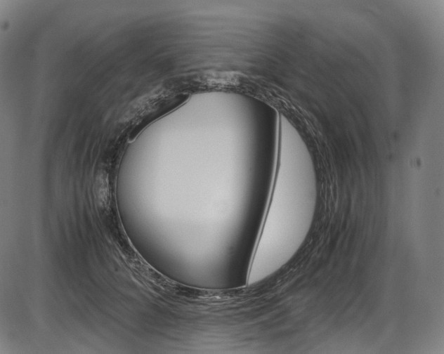 X0000087620704200704271137