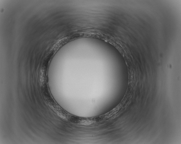 X0000087620708200704271137