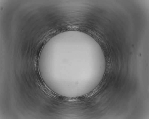 X0000087620710200704271137