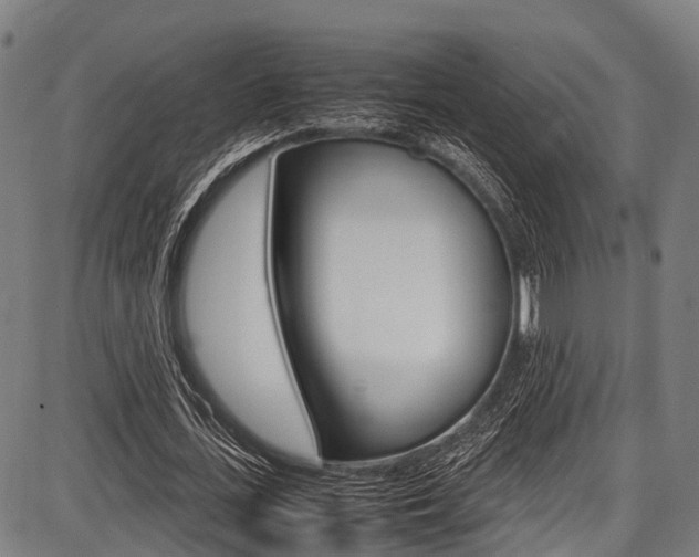 X0000087620723200704271136