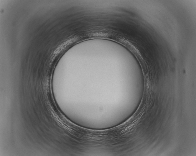 X0000087620725200704271136
