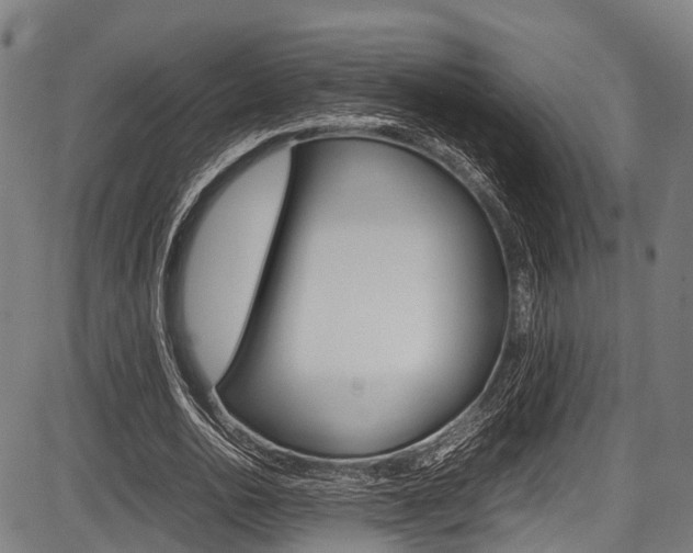X0000087620726200704271136