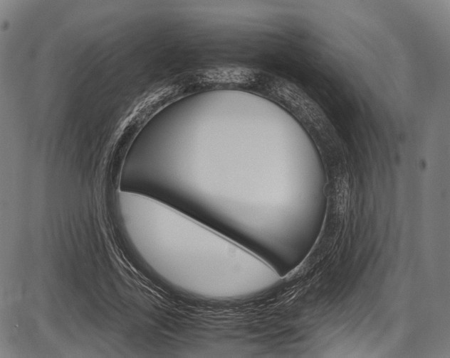 X0000087620731200704271136