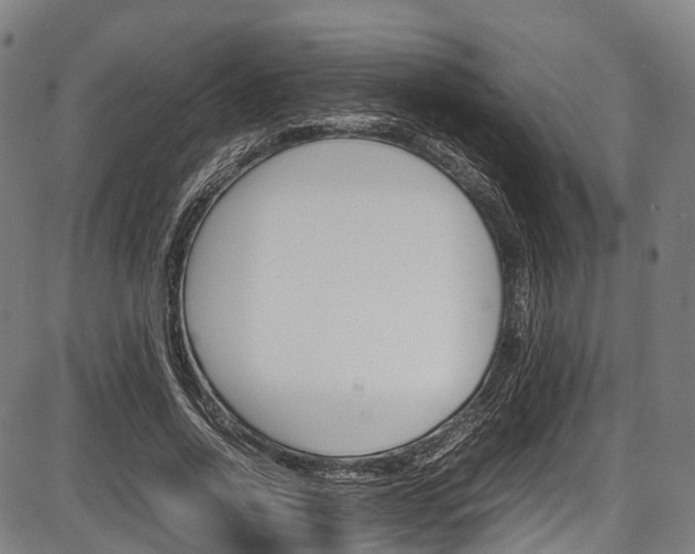 X0000087620734200704271136