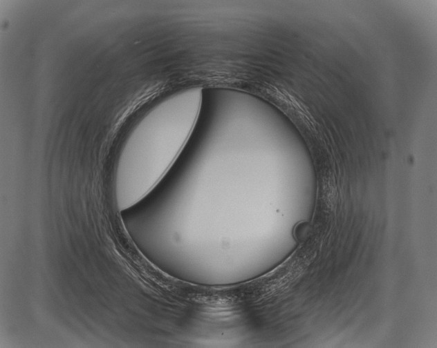 X0000087620735200704271136