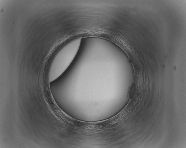 X0000087620736200704271136