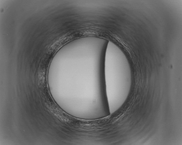 X0000087620737200704271136