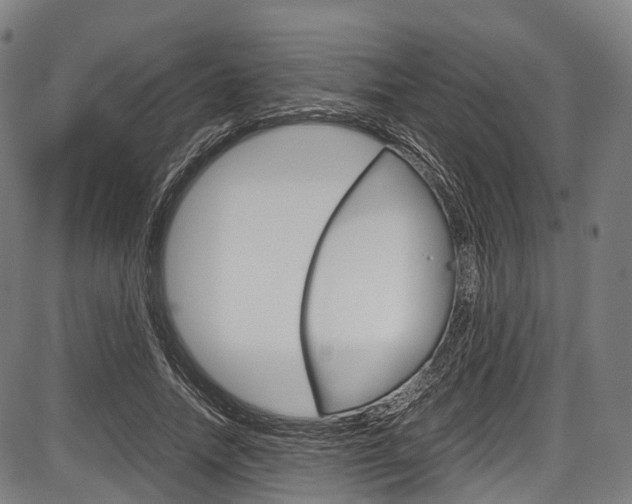 X0000087620738200704271136