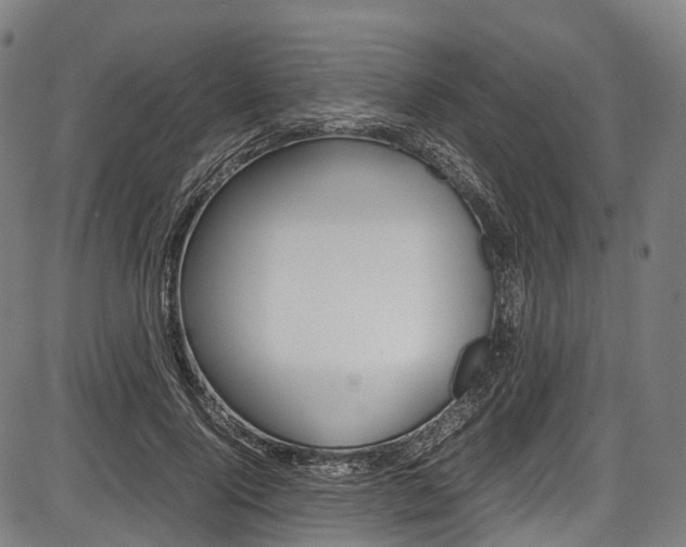 X0000087620740200704271136