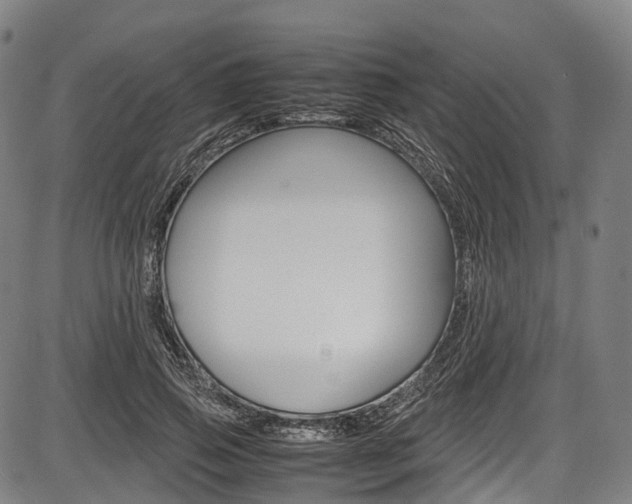 X0000087620741200704271136