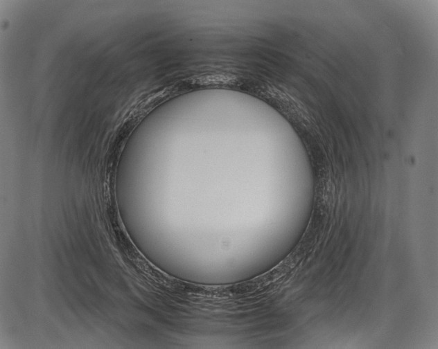 X0000087620743200704271136