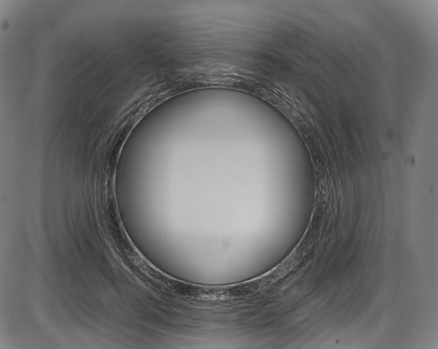 X0000087620744200704271136