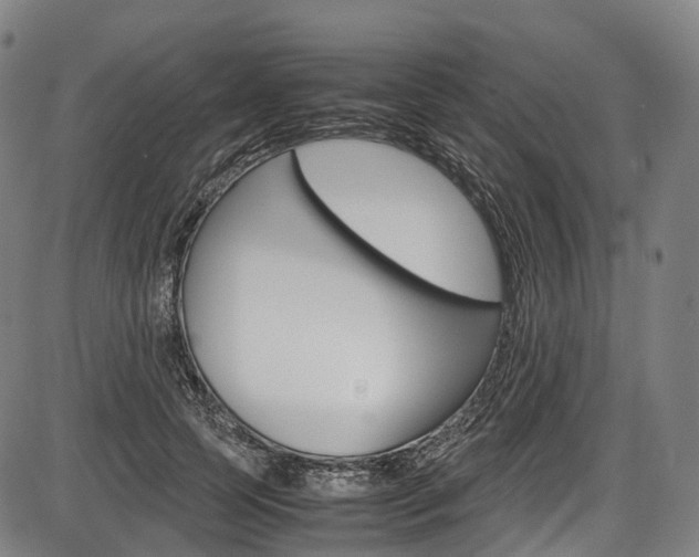 X0000087620745200704271136