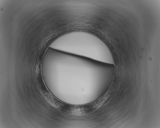 X0000087620746200704271136