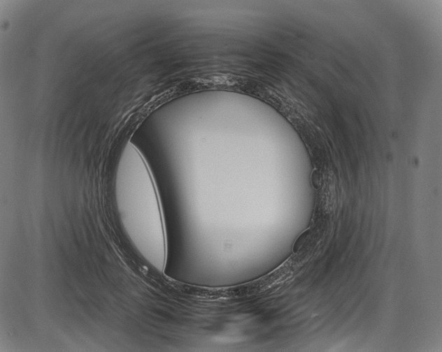 X0000087620747200704271136