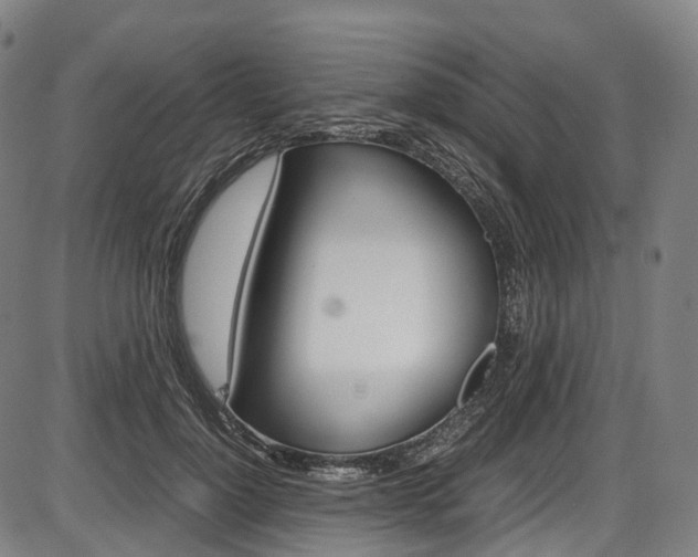 X0000087620748200704271136