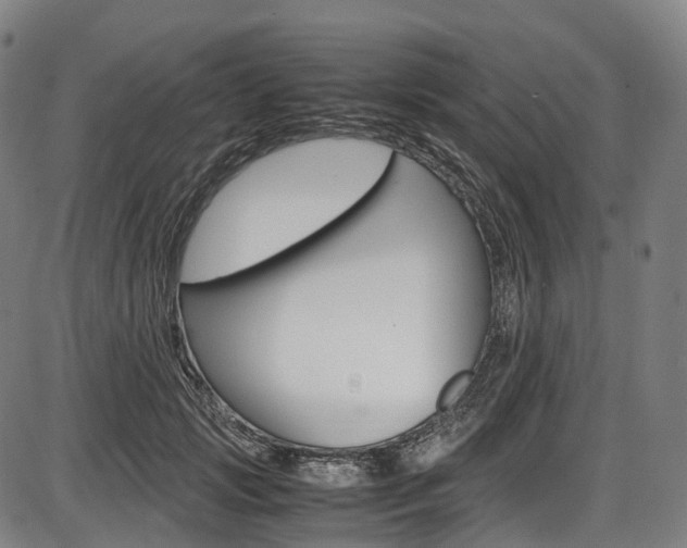 X0000087620749200704271136