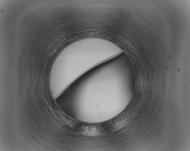 X0000087620751200704271136
