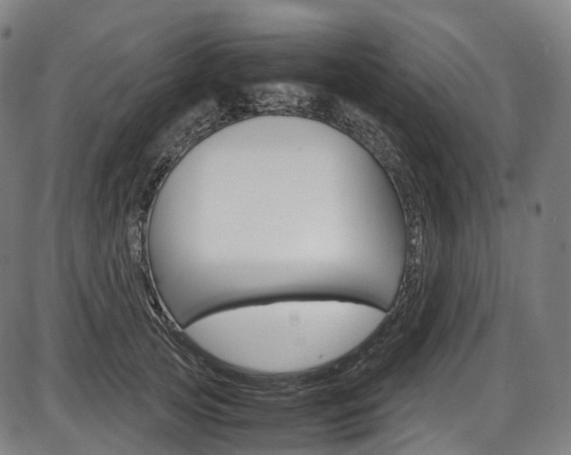 X0000087620753200704271136