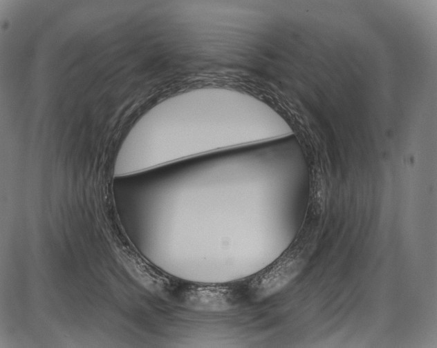 X0000087620758200704271137