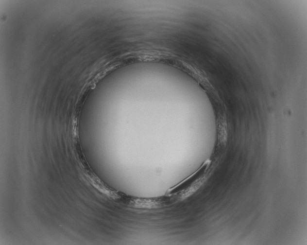 X0000087620766200704271137