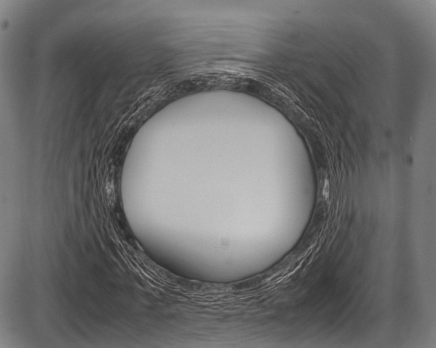 X0000087620771200704271136