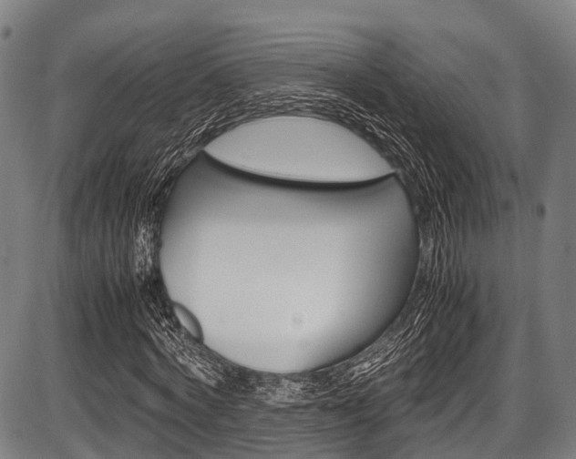 X0000087620772200704271136