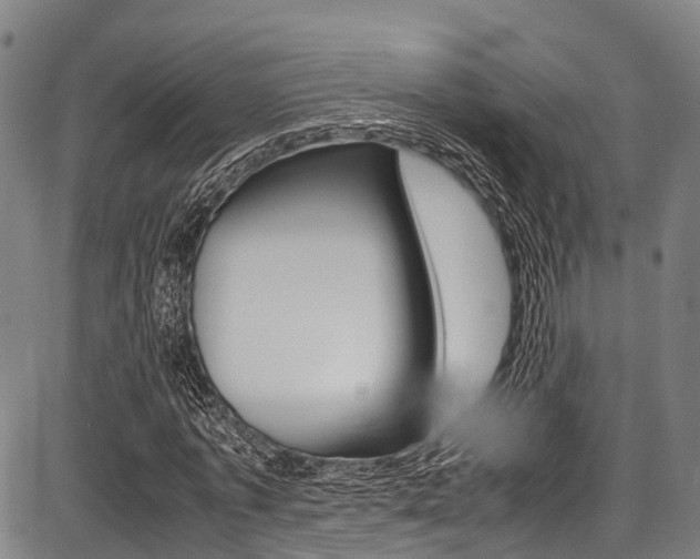 X0000087620773200704271136
