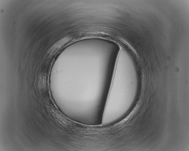 X0000087620777200704271136