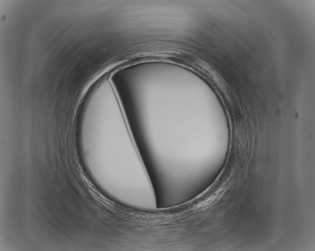 X0000087620779200704271136