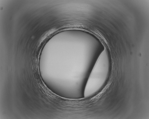 X0000087620781200704271136