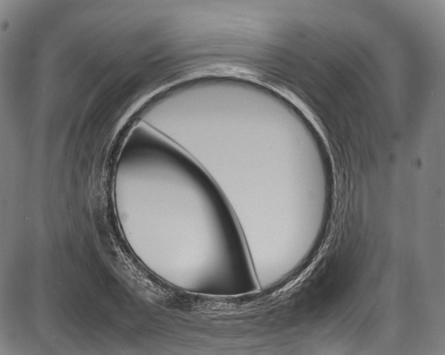 X0000087620783200704271136
