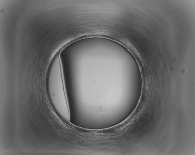 X0000087620789200704271136