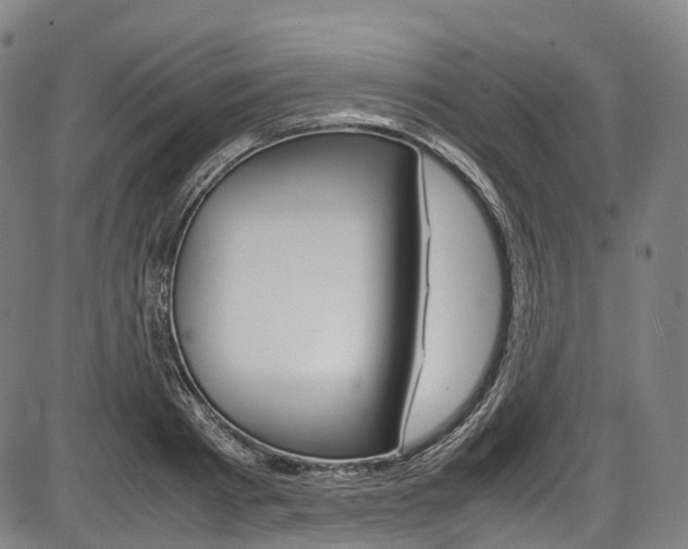 X0000087620793200704271136