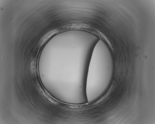 X0000087620794200704271136