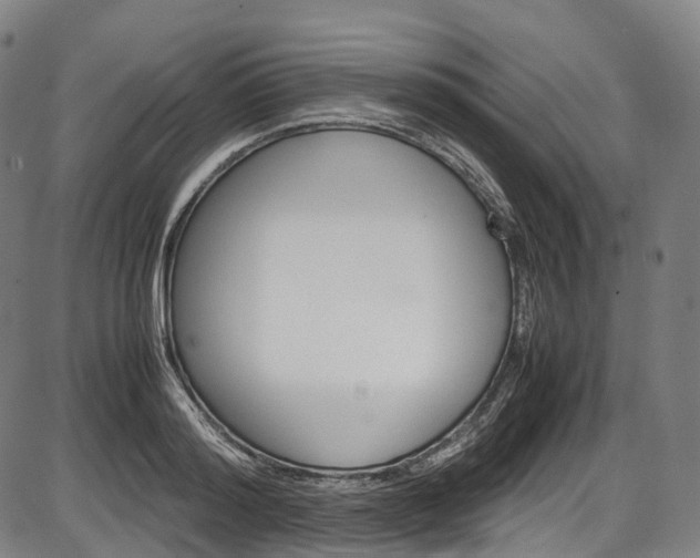 X0000087620796200704271136