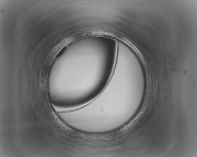 X0000087620801200704271135