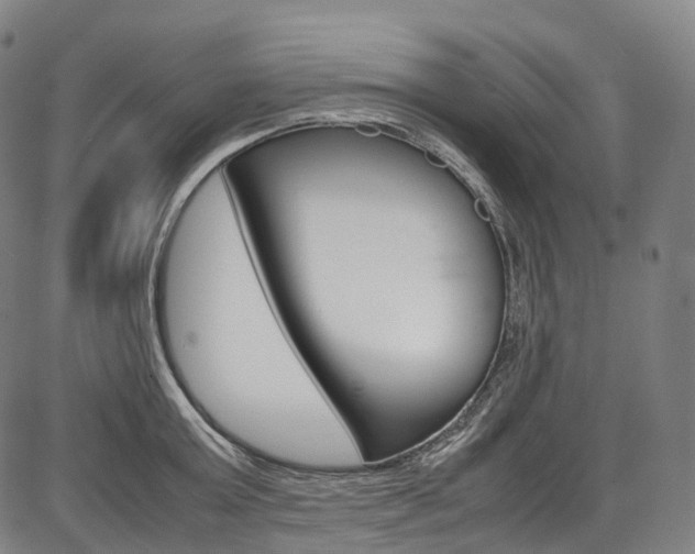 X0000087620803200704271135