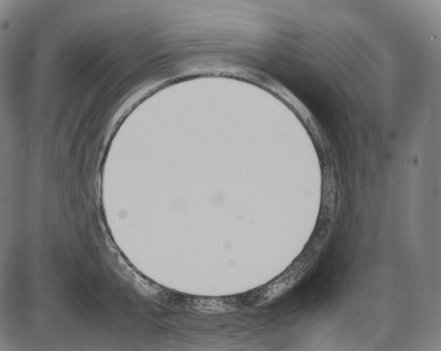 X0000087620807200704271135