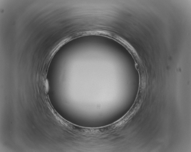 X0000087620809200704271135