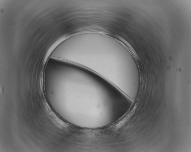 X0000087620812200704271135