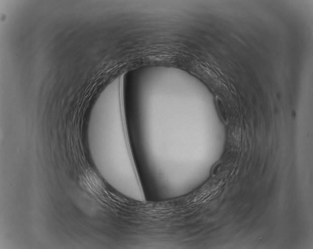 X0000087620817200704271134
