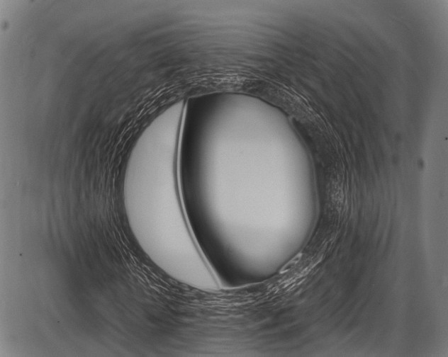 X0000087620818200704271134