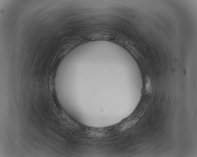X0000087620819200704271134