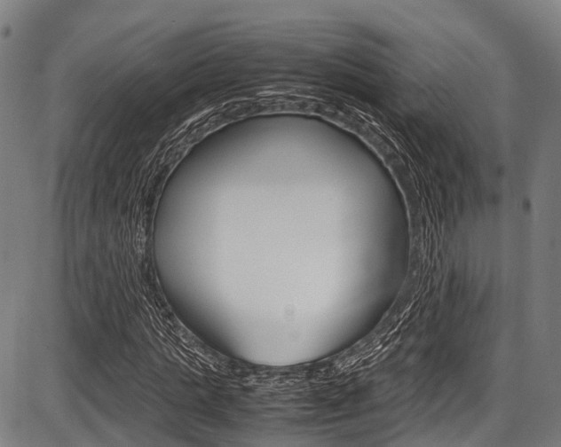 X0000087620821200704271134