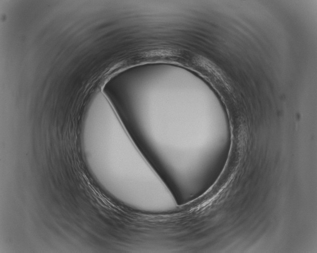 X0000087620825200704271135