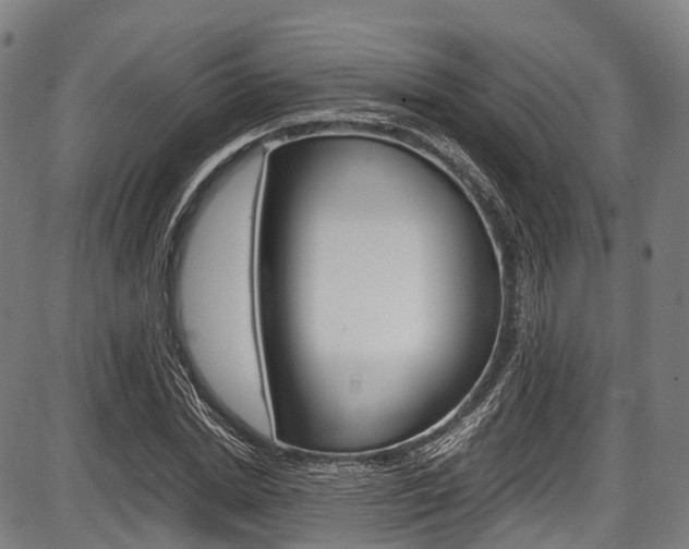 X0000087620830200704271135