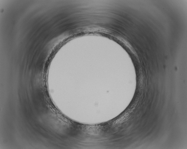 X0000087620832200704271135